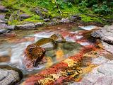 Waterton Glacier 041